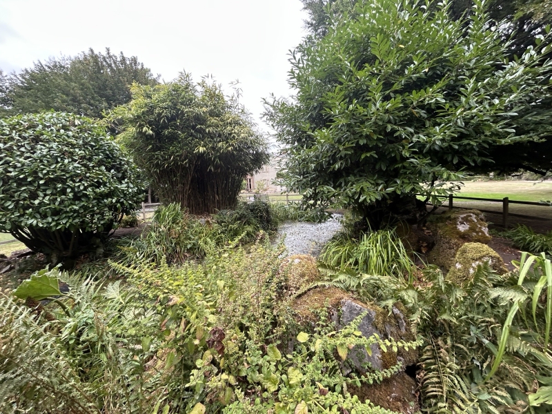 The Downs Preparatory School